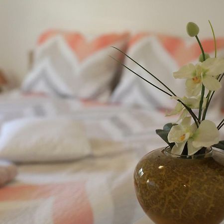 Apartment Palma Bibinje Luaran gambar